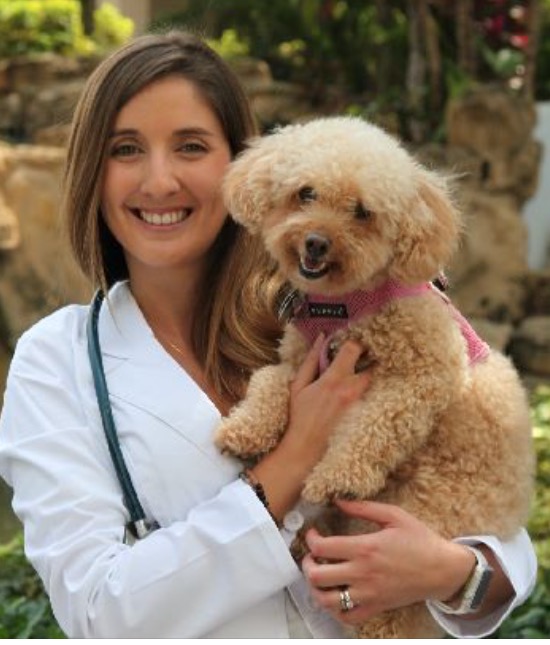 Contact Our Cutler Bay Veterinarians At Aussie Animal Hospital